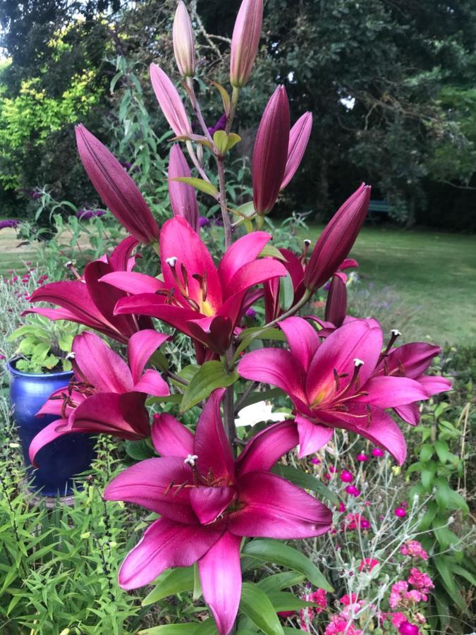 Newlands Bed And Breakfast West Melton Екстериор снимка